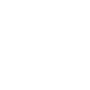 Aloe Vera Extract