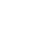 Sarsaparilla