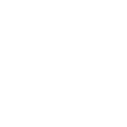 Shea Butter