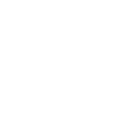 Spearmint Oil