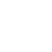 Vitamin E