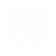 White Willow Bark